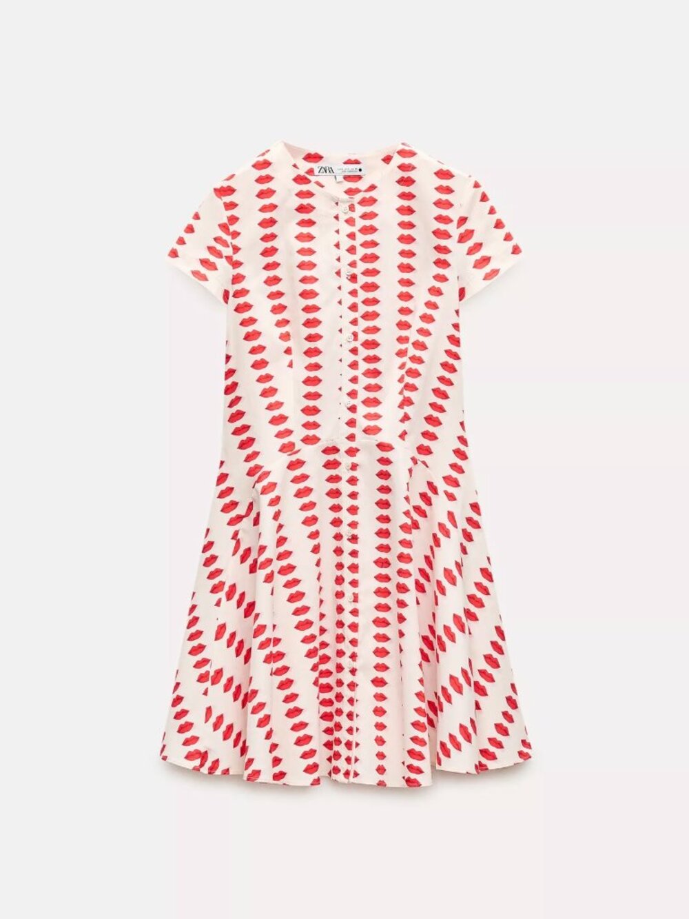 Zara Skater Printed Dress